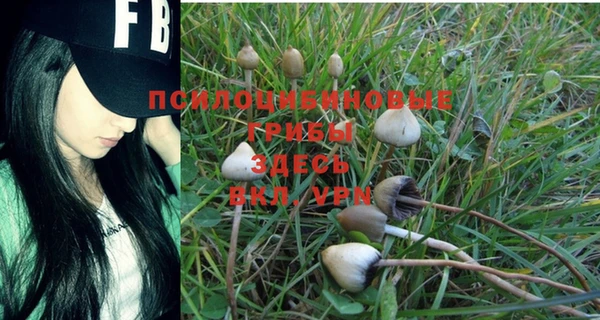 эйфоретик Балабаново