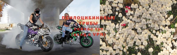каннабис Баксан