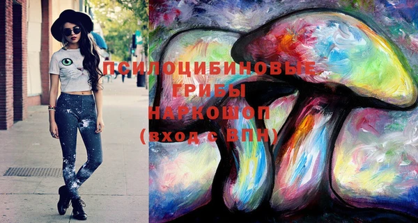 крисы Балахна